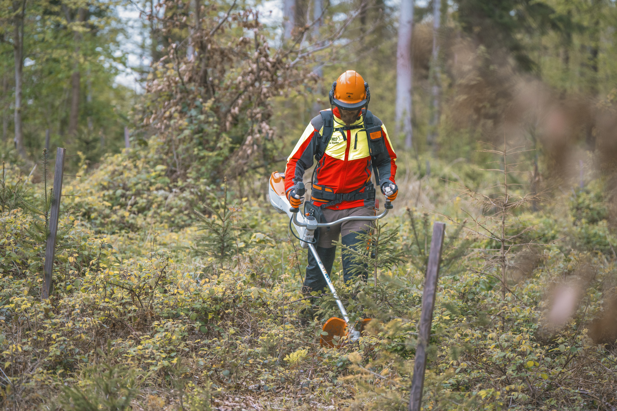 Markus Küchler przycina dziko rosnące krzewy akumulatorową kosą mechaniczną STIHL FSA 400